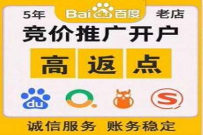 百度推广在电商行业的成功实践